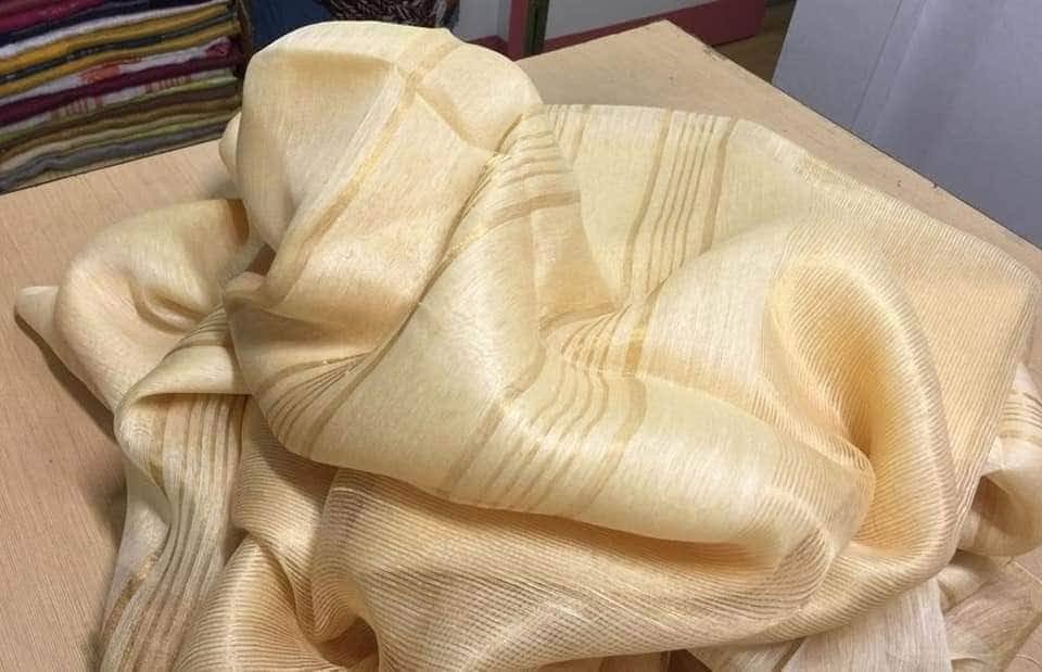 Linen Silk Saree with Gold Tissue Border | Lightweight Festive Wear